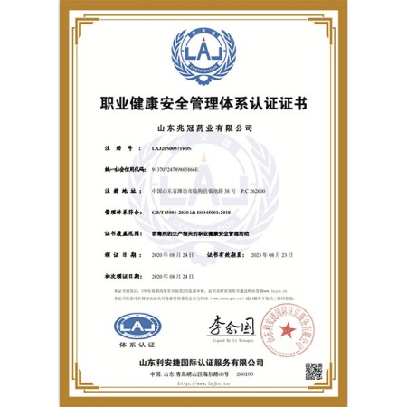 ISO45001中文