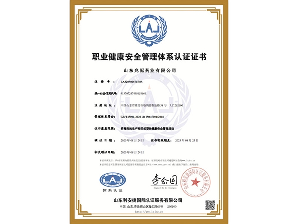 ISO45001中文