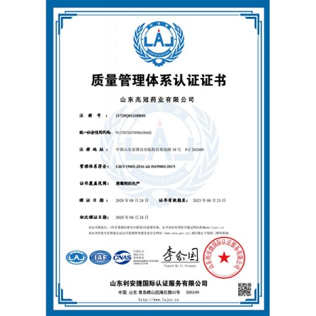 ISO9001中文