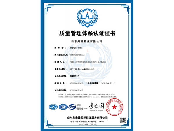 ISO9001中文